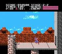 Ninja Gaiden